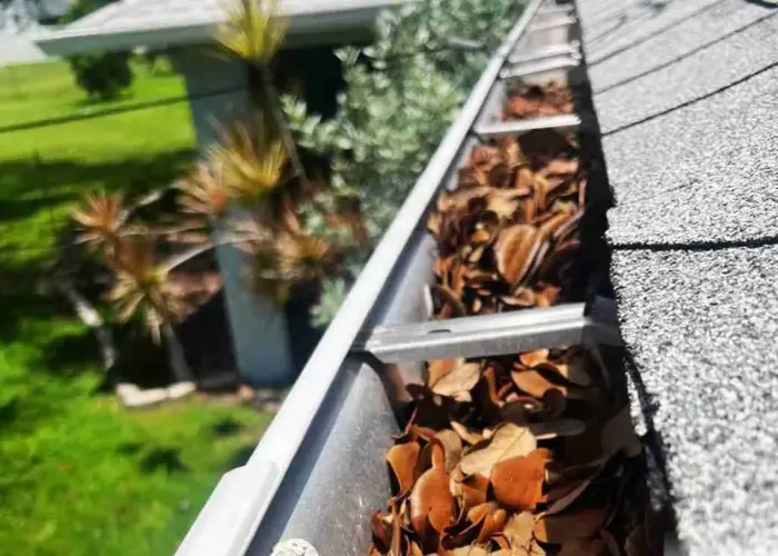 Friendswood gutter cleaning home page